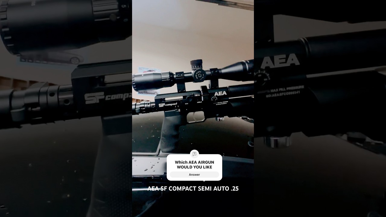 AEA SF COMPACT .25 This Is Not A Plinking Session