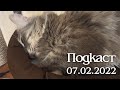 Где видео, куда мы пропали, что случилось? (Подкаст 07.02.22)