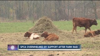 SPCA overwhelmed by support following farm raid