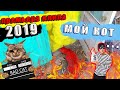 ПРЕМЬЕРА НОВОГО КЛИПА 2019 - МОЙ КОТ (НОВЫЙ РЕП) КЛИП ЗА 5 МИНУТ