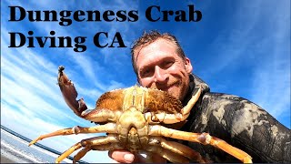 How to FREEDIVE for DUNGENESS CRAB: Catch & Cook!