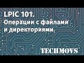 1. LPIC 101. Операции с файлами и директориями.