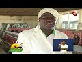 Mkulima Kuku Walioboreshwa Wa KALRO Mkulima Kuku Walioboreshwa Wa KALRO