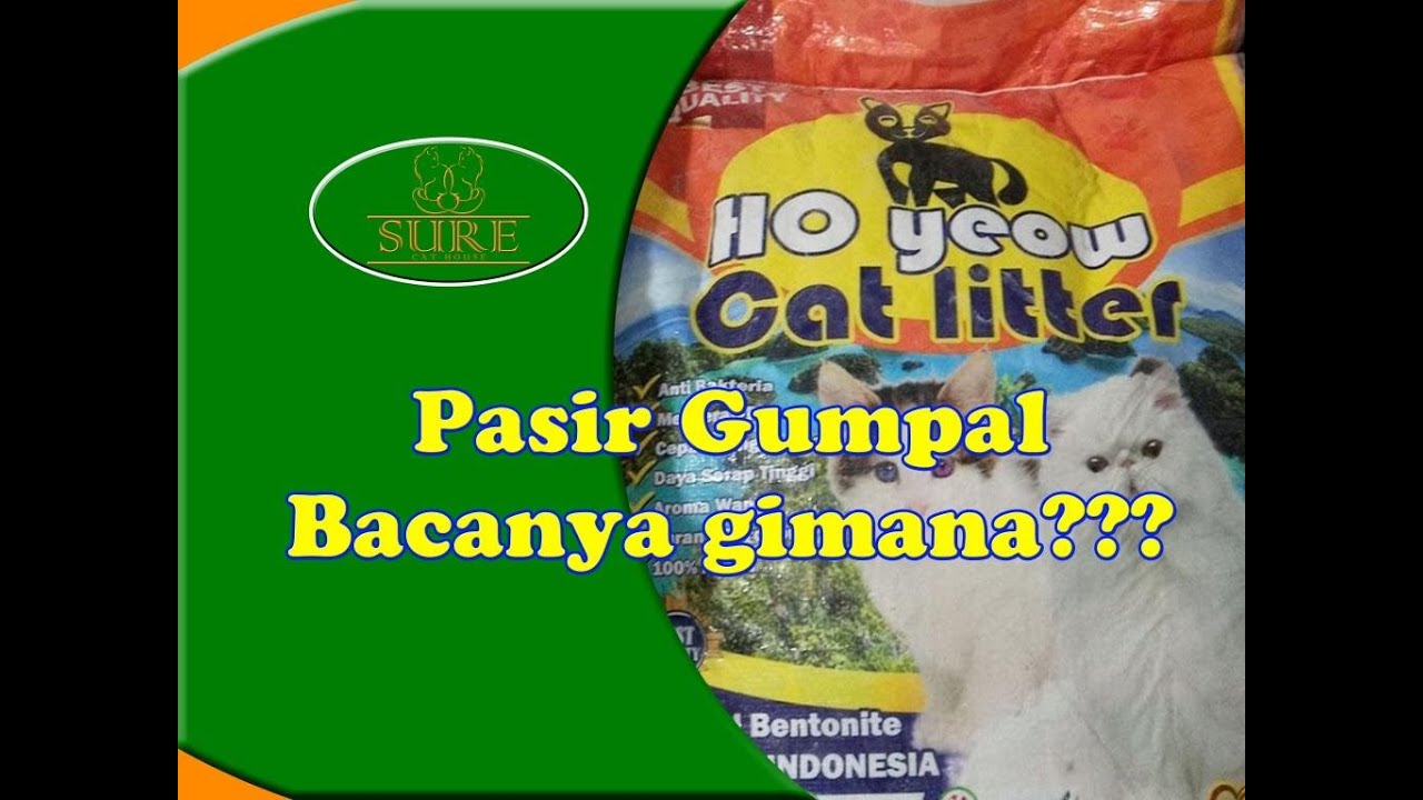 Unboxin & Review Pasir Gumpal Ho Yeow YouTube