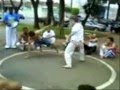 capoeira expressão e arte momentos jogos
