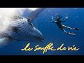 Le Souffle de Vie (documentaire) thumbnail