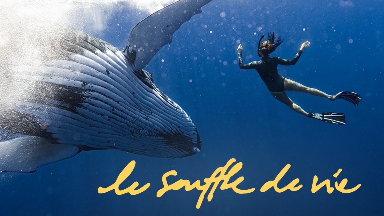 Le Souffle de Vie (documentaire)