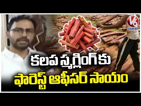 Khammam DFO Siddharth Vikram Singh F2F About Busting Sandalwood Smuggling Racket | V6 News - V6NEWSTELUGU