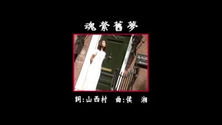 曜新穎之星 - 金牌國語老歌KTV 06-9 魂縈舊夢