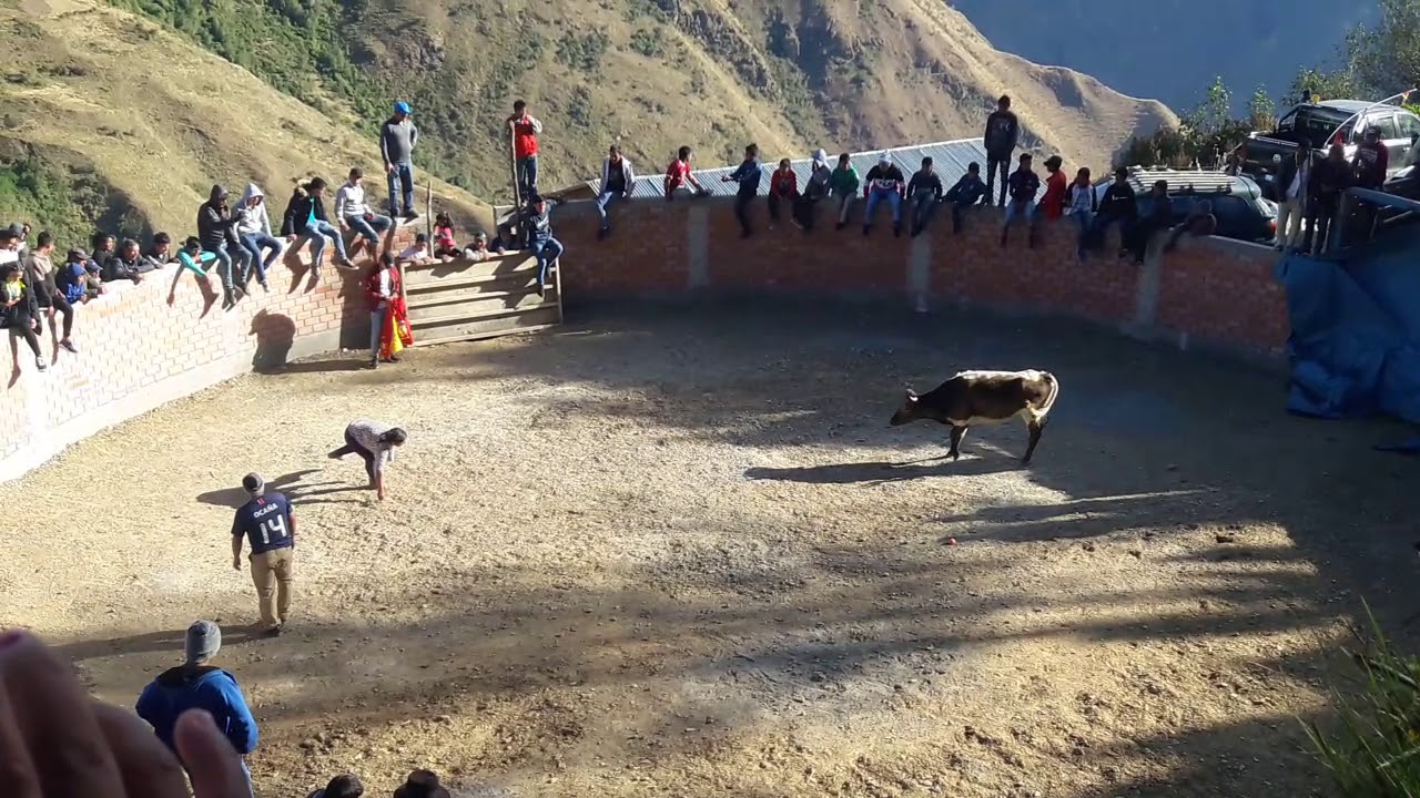 Tarde taurina en URPISH - JIRCAN