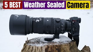 Best Weather Sealed Cameras of 2024 [Updated]
