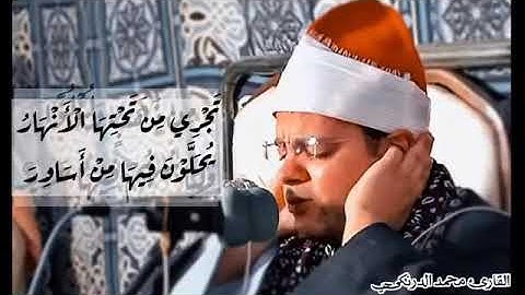 دقيقة من القلب ❤️ ريحانة الصعيد القارئ الشيخ محمد عبد الحافظ الدُرُنكي