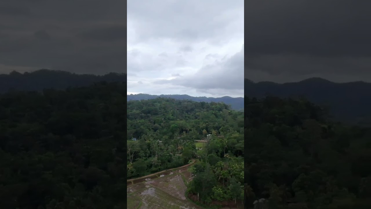 Untouched Beauty of Nature 🍃💚