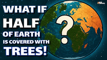 WHAT IF half of Earth