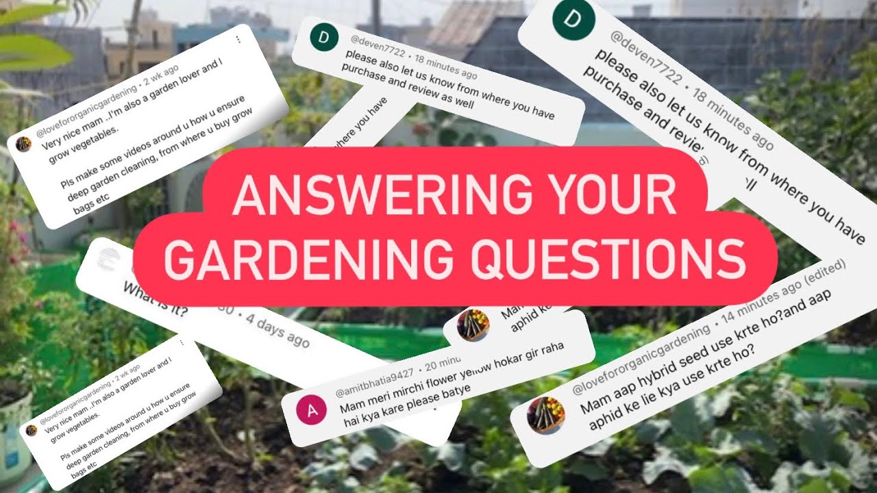 Aphids Ke Liye Kya Kare Grow Bags Kon Se Le Fruits Plants Kaha Se Le