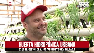 Alerta Verde - Huerta hidropónica urbana (parte 1)