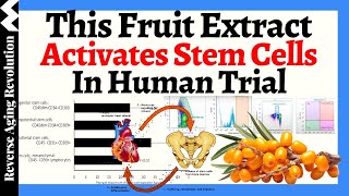 THIS Fruit Extract ACTIVATES 4 Major Types of Stem Cells & RELIEVES Dry Eyes In HUMAN TRIALS