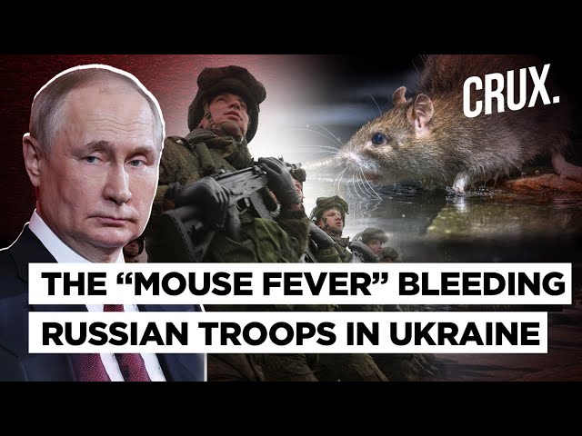 Russian Soldiers’ Eyes Bleed As “Mouse Fever” Wreaks Havoc, But Putin Claims Success In Ukraine War class=