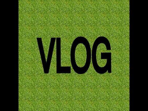 VLOG:новая причёска