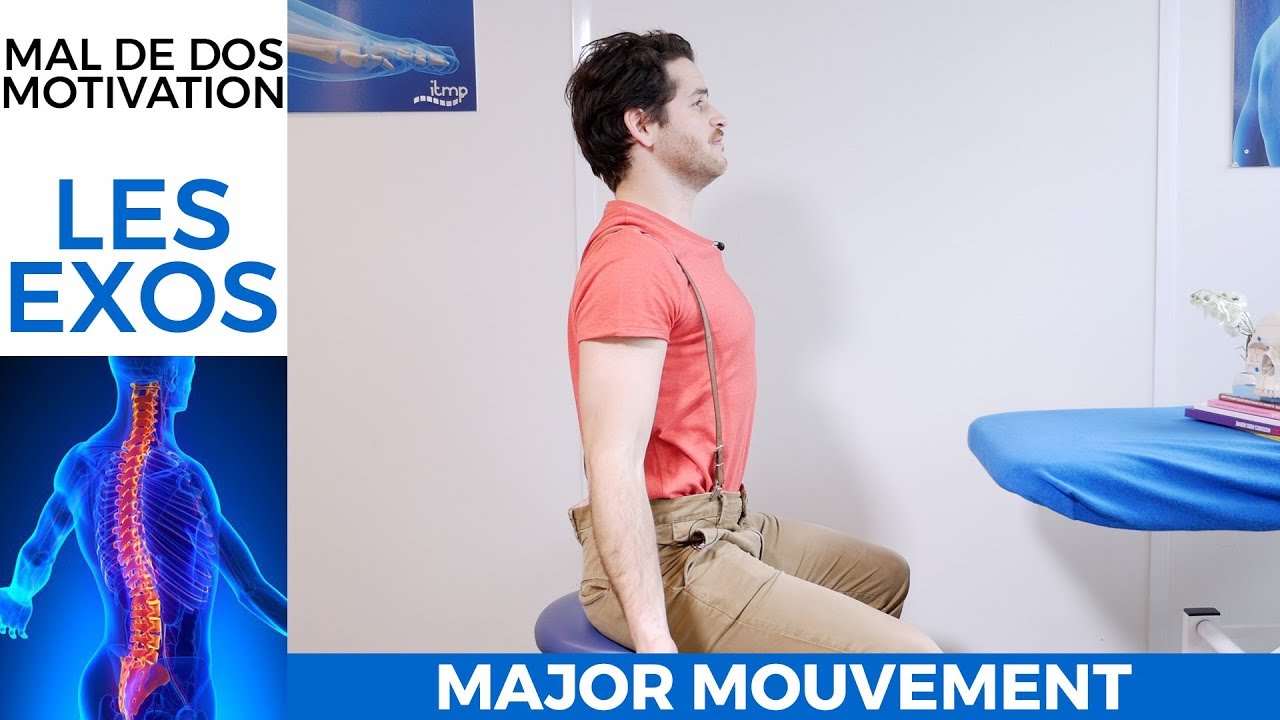 Récap - motivation et mal de dos