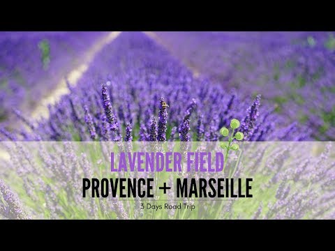 Trip to Mont Ventoux, Lavender Sault, France - 2017 [HD]