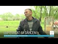 Lupul Dany, evadat la Dănceni, a fost găsit obosit și rănit