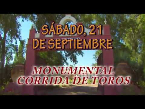 FERIA TAURINA DE ALMODÓVAR DEL CAMPO 2019