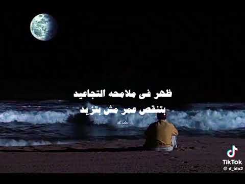 شايف نفسك وصلت لأيه وحيد والدنيا جاية عليه