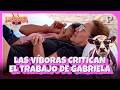 LAS VÍBORAS CRITICAN TRABAJO DE GABRIELA HERRERA EN LA GRANJA VIP