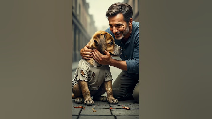 Watch: Kind Man's Heartwarming Act to Help Puppy Attend School Again |  #pets #cute #4k #cutepuppy