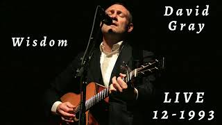 David Gray - Wisdom (Live, acoustic - December 18, 1993 at The Wetlands, New York)