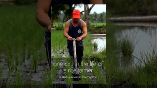 One Day in the Life of a Rice Farmer