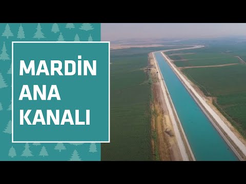 Video: Bir nehir sisteminin ana parçaları nelerdir?