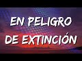 La Adictiva - En Peligro De Extinción (Letra\Lyrics) (loop 1 hour)