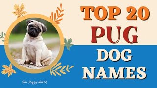 Top 20 Dog Names | Names for Pug | Dog Channel | Dog Name New | #Unique #Dog #Names #Vodafonedog