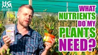 What are those N•P•K numbers on plant food and fertilizer?