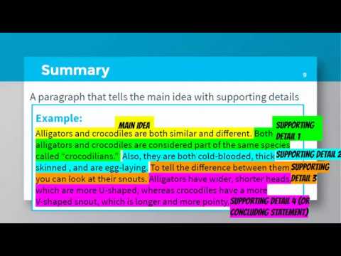 Summary Mini Lesson - YouTube