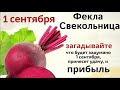 1 сентября - Фекла свекольница. Загадывайте сегодня желания и не ходите босиком по дому.