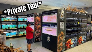 The Most INCREDIBLE EXOTIC FISH STORE