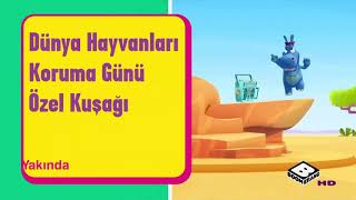 Dünya Hayvanları Koruma Günü Özel Kuşağı Yakında Boomerangta