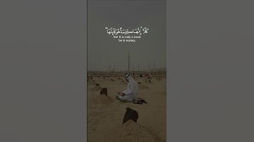 سعد الغامدي سورة المؤمنون Saad Alghamidi Surat Al Mu’minun