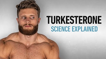 Turkesterone Explained: What