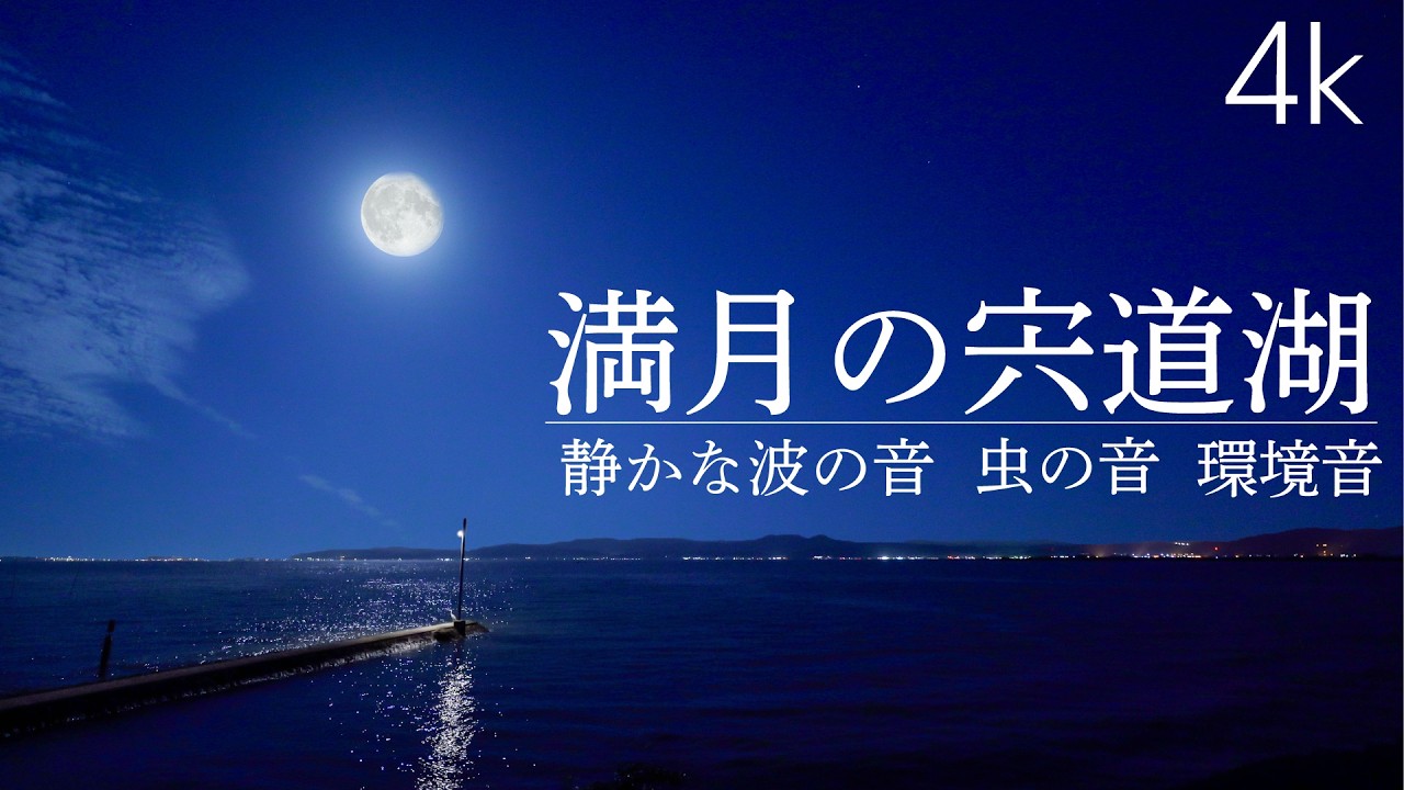 【環境音/ASMR】満月の宍道湖｜波の音｜虫の音｜睡眠・安眠用BGM