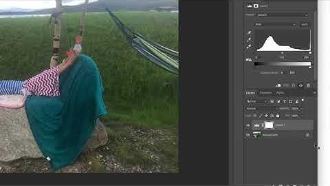 Levels Adjustment Layer in Adobe Photoshop