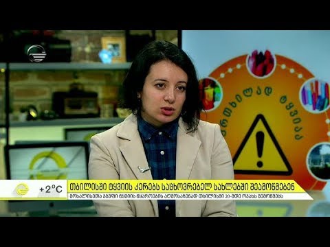 თბილისში ტყვიის კერებს საცხოვრებელ სახლებში შეამოწმებენ