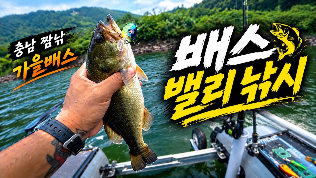2026 가을배스 충남 밸리 짬낚 하기