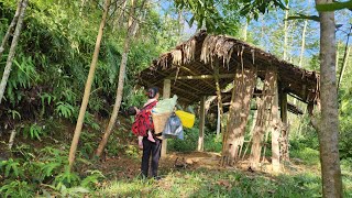 A homeless single mother renovates an abandoned house - starting life anew from scratch