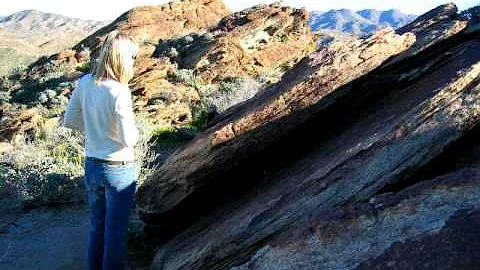 Ode To A Friendship: Shelby Stone & Deborah Meints