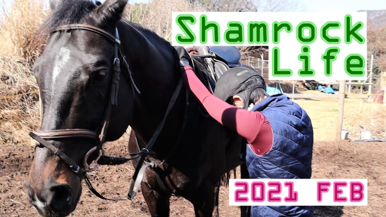 その降り方危険かも 馬の乗り方と降り方 Youtube