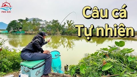Câu cá tự nhiên. Khám phá và trải nghiệm điểm câu nhiều cá rô phi mùa đông.